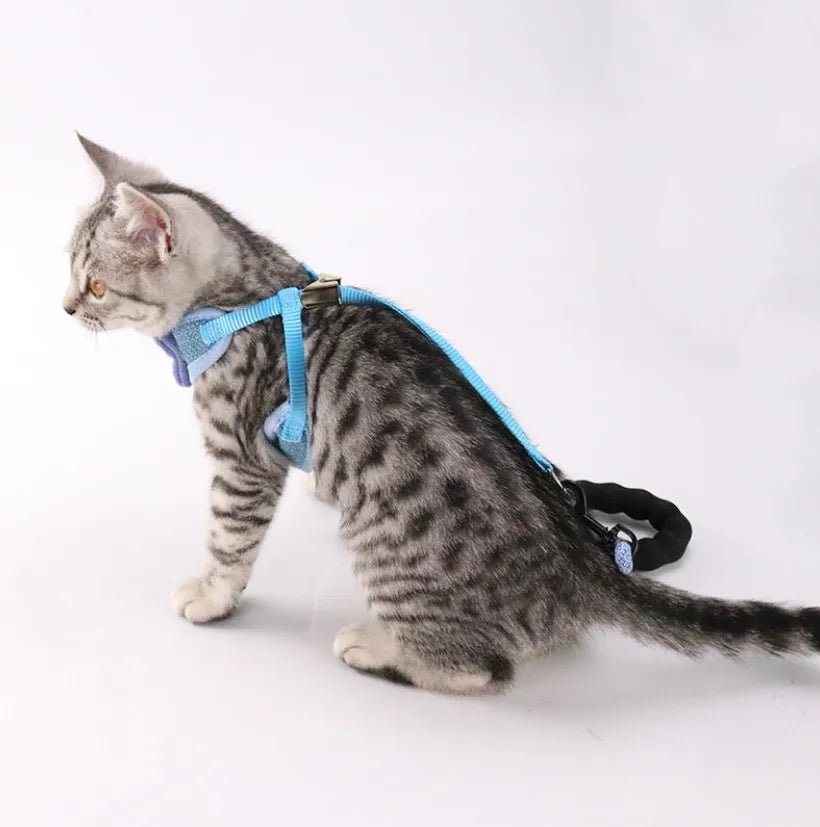 100pcs Bow Cat Harness Pet Leashes Chest Adjustable Harness Bowknot Cats Leashes Walk Chest Strap Vest Cat Collars hot