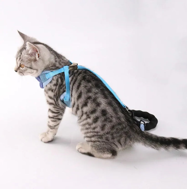 100pcs Bow Cat Harness Pet Leashes Chest Adjustable Harness Bowknot Cats Leashes Walk Chest Strap Vest Cat Collars hot