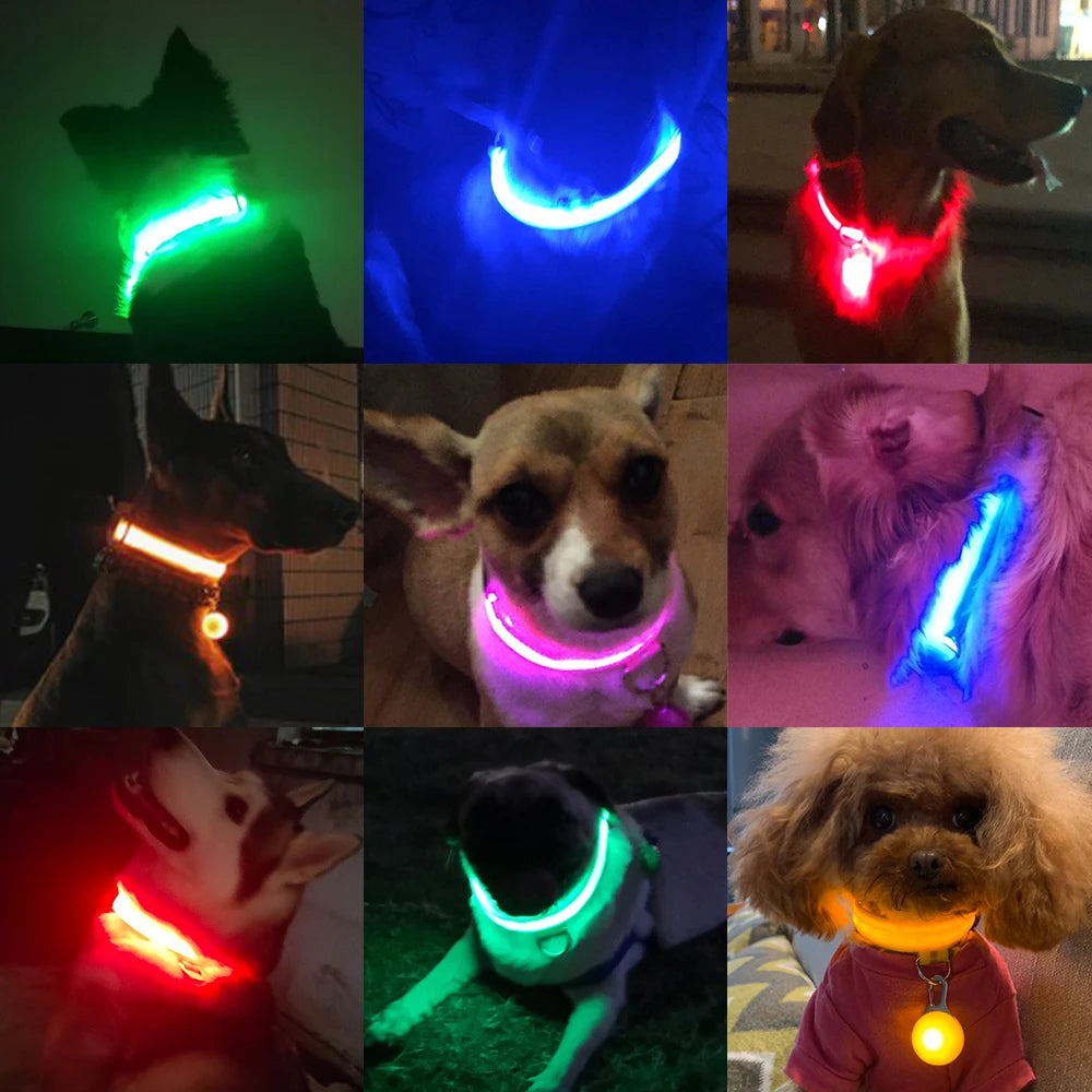 USB Charging/Battery replacement Led Dog Collar Anti-Lost Collar For Dogs Puppies Dog Collars Leads LED Supplies Pet Products