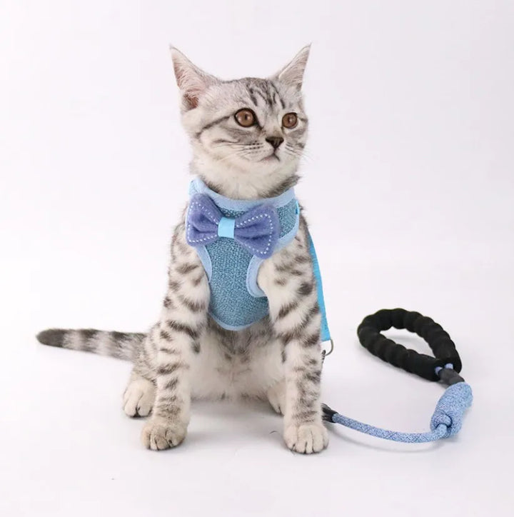 100pcs Bow Cat Harness Pet Leashes Chest Adjustable Harness Bowknot Cats Leashes Walk Chest Strap Vest Cat Collars hot