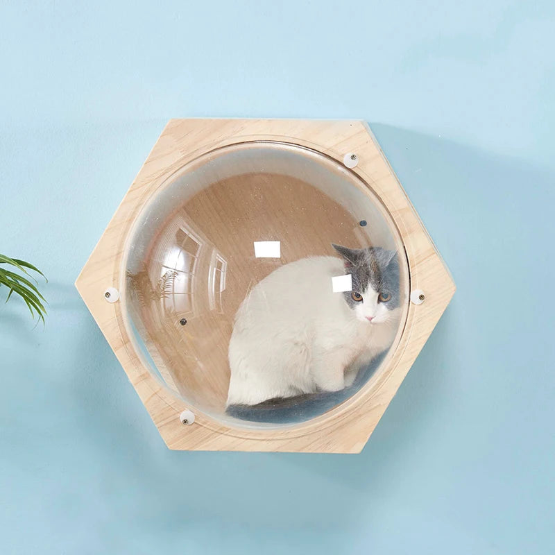 Wall-mounted Wood Cat House Bed Cat Tree Tower Space Capsule Cat Climbing Frame Kitten Toy climbing ladder Pet Scratch Furniture