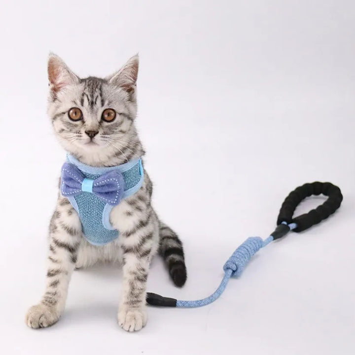 100pcs Bow Cat Harness Pet Leashes Chest Adjustable Harness Bowknot Cats Leashes Walk Chest Strap Vest Cat Collars hot