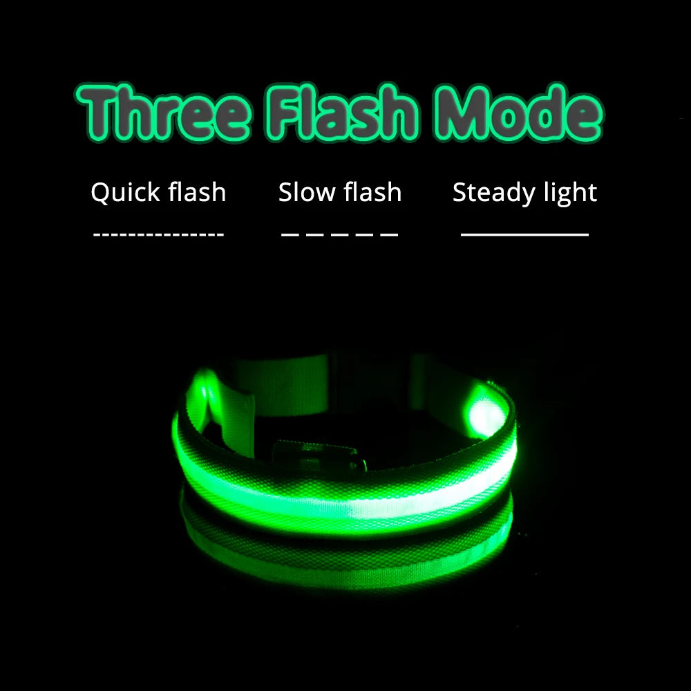 USB Charging/Battery replacement Led Dog Collar Anti-Lost Collar For Dogs Puppies Dog Collars Leads LED Supplies Pet Products