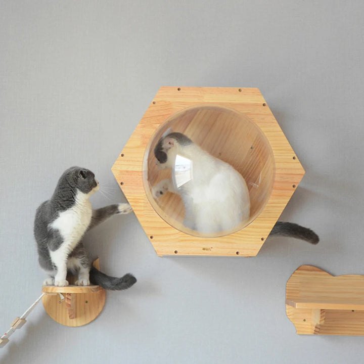 Wall-mounted Wood Cat House Bed Cat Tree Tower Space Capsule Cat Climbing Frame Kitten Toy climbing ladder Pet Scratch Furniture