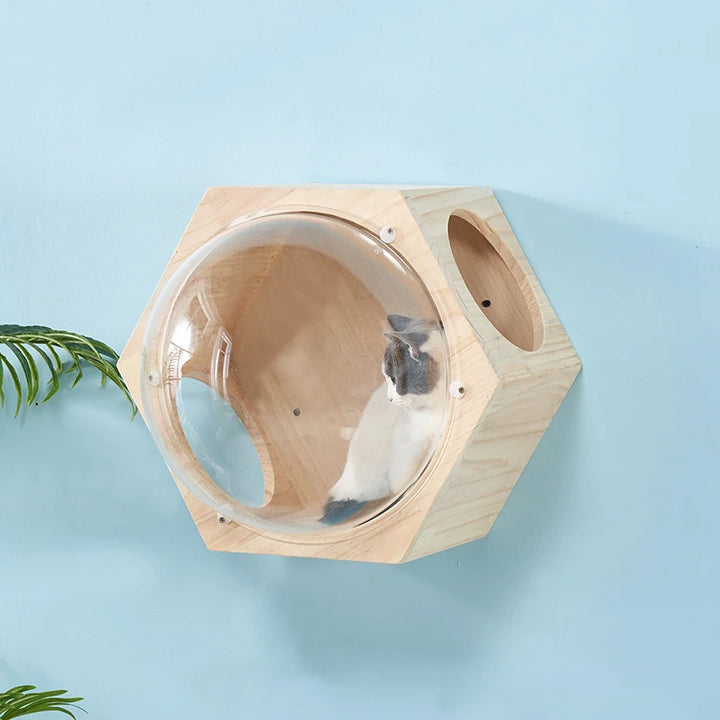 Wall-mounted Wood Cat House Bed Cat Tree Tower Space Capsule Cat Climbing Frame Kitten Toy climbing ladder Pet Scratch Furniture