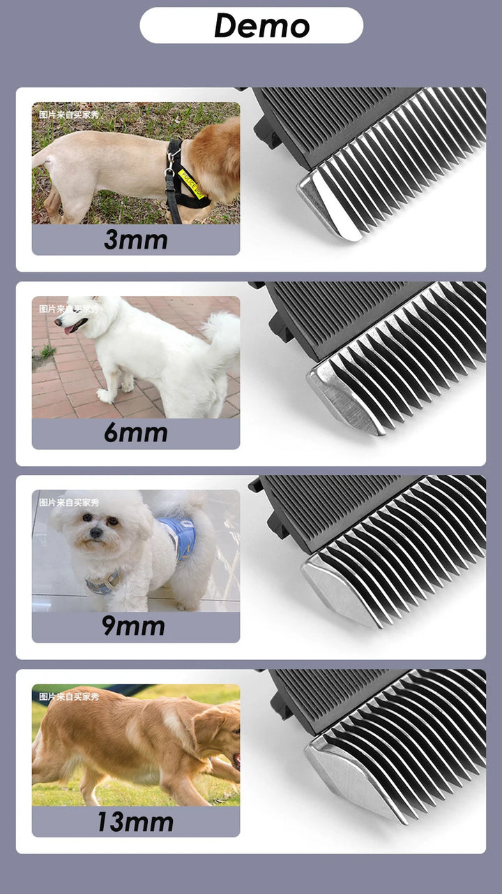 New CP9700 Dog Hair Clipper Rechargeable Pet Trimmer 5 Speeds Dog Clippers Electrical Cat Grooming Shaver Haircut Machine