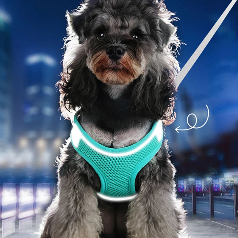 MADDEN Dog Cat Harness Vest Chest Rope Set Reflective Breathable Adjustable Pet Harness for Small Medium Dogs Outdoor Walking