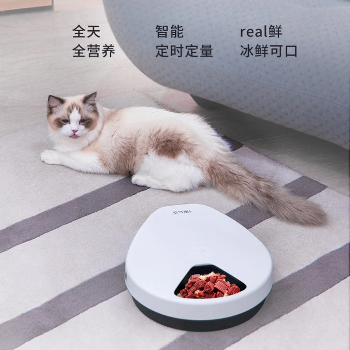 Air Radish Fresh Food Wet Food Refrigerator Automatic Pet Feeder Cat Dog Pet Smart Feeder Food Sharing