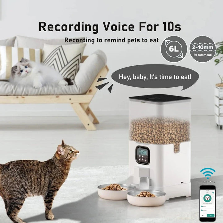 6L Automatic Pet Feeder Intelligent Large Capacity Scheduled Double Meal Cat Feeder Dog Food Dispenser Remote Control Feeding