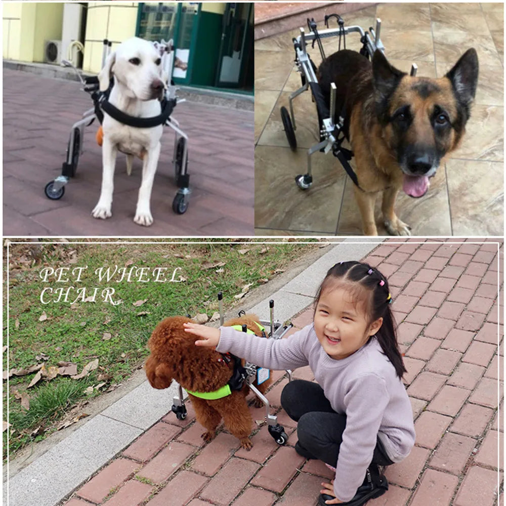 Dog Four-Wheeled Wheelchair Scooter  Pet Hind Limb Disability Paralysis Rehabilitation Wheelchair Animal Auxiliary Bracket