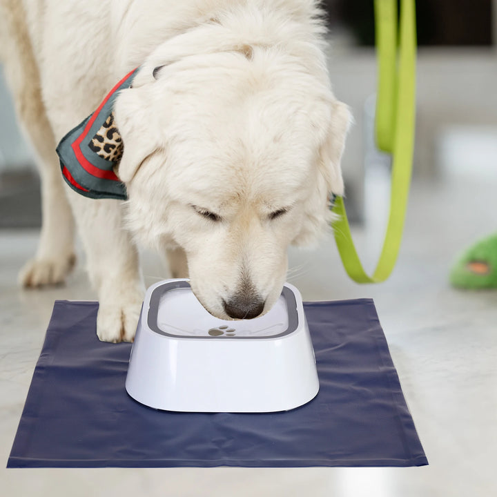 No-Spill Portable Dog Water Dispenser Bowl