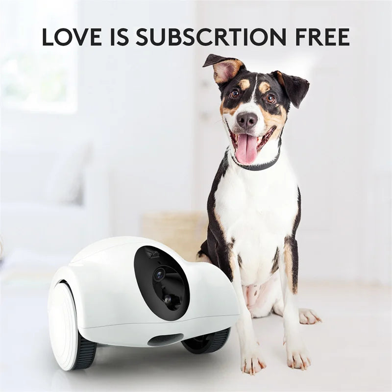 LMZOE Smart Wifi Pet Companion Laser Food Feeder Dispenser with Camera, Intelligent Robot, Pet Companion, Cat and Dog Toy