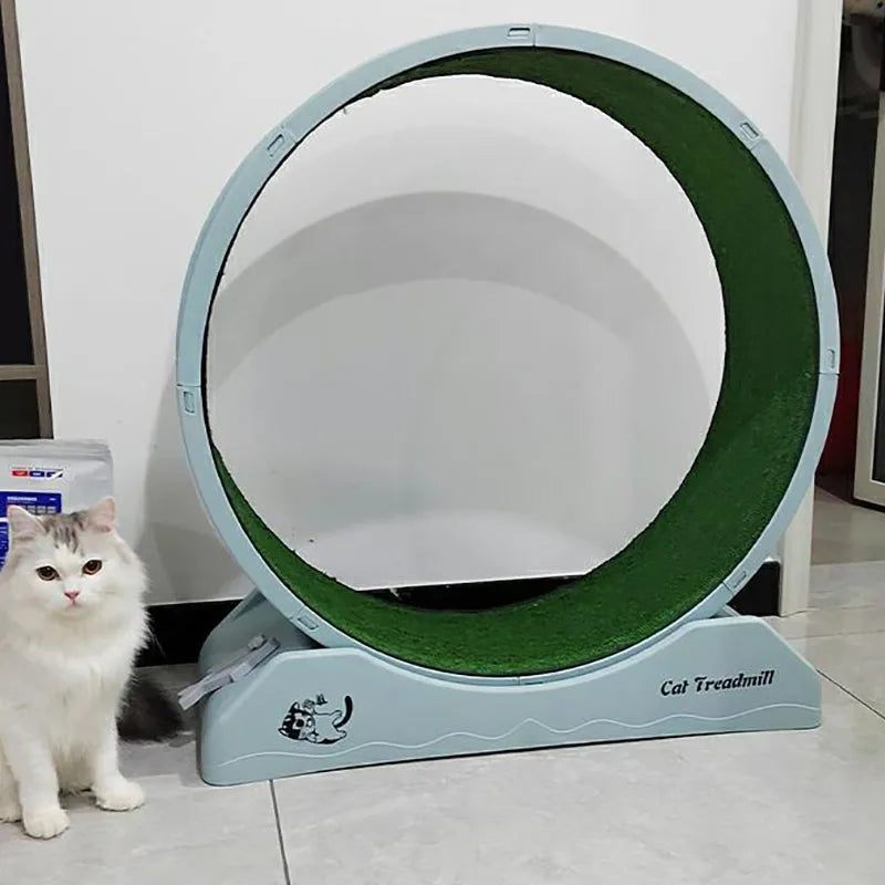 Treadmill Exercise Cat Toys, Interactive Training Wheel, Claw Sharpener, Tunnel Scraper, Tracks Game, Park Cats, Pet Items