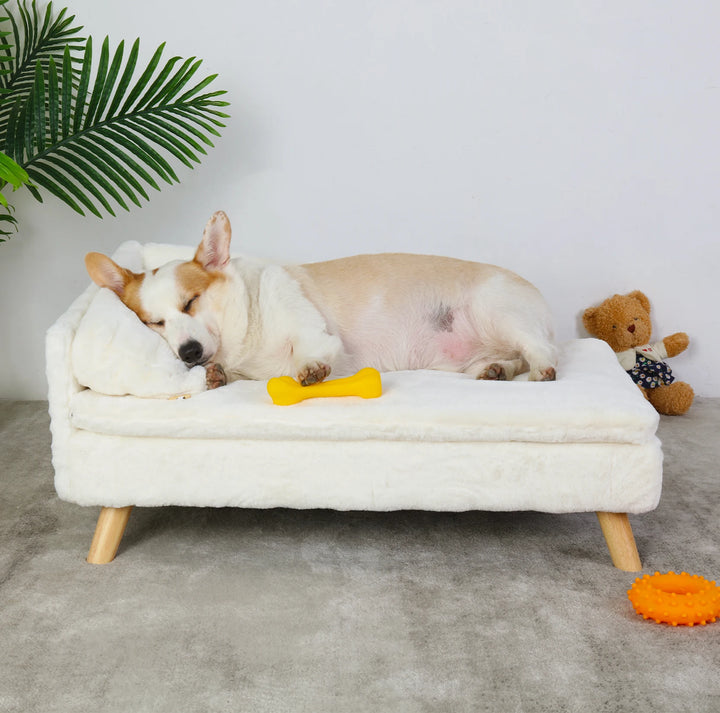 Elevated Pet Bed,Nordic Pet Stool Bed with Cozy Pad Waterproof,Pet Sofa Bed with Sturdy Wood Legs for Small Dog Kitten