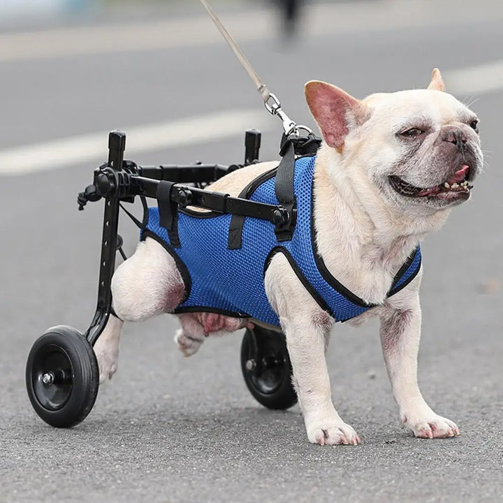 Adjustable Hind Leg Disabled Pet Dog Mobility Aid Wheelchair