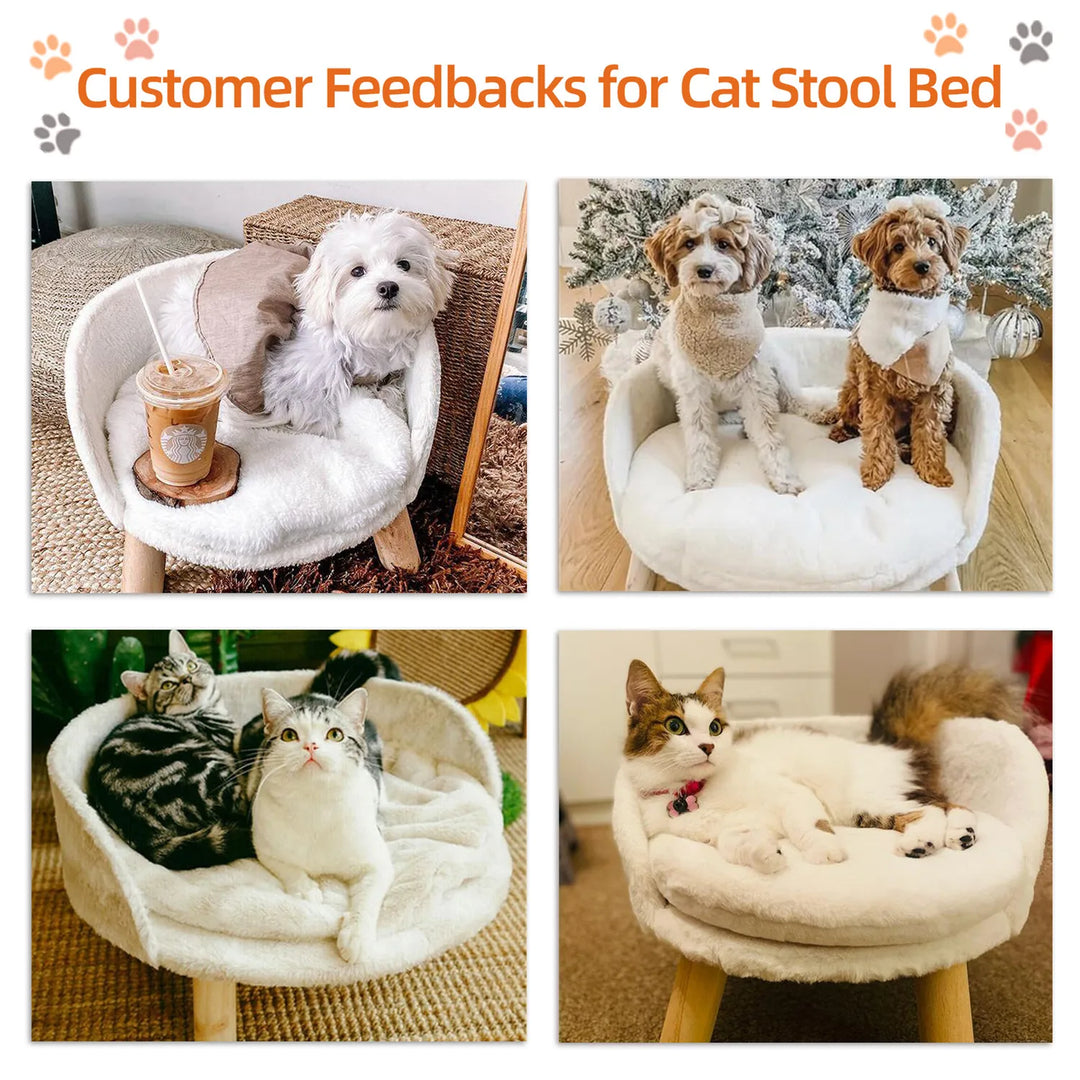 Raised Pet Sofa Bed / Chair for Cats & Small Dogs with Waterproof Removable Cushion