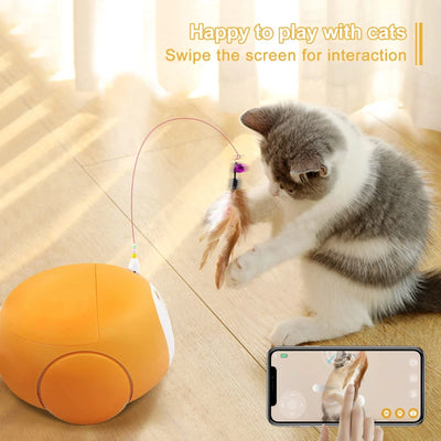 Pet Camera Robot Interactive Electric Cat Soft Plush Automatic Tease Toy Can Remotely Track Pets To Deliver Snacks