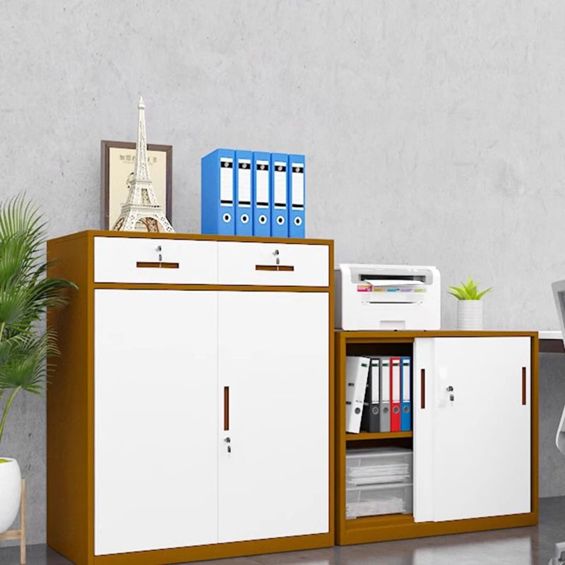 Locker Office Filing Cabinet Living Room Garage Metal Kitchen Modern Cabinet Medicine Storage Archivador Bureau Meuble Furniture