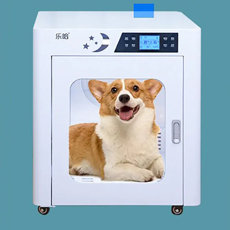 Household Small Silent Dog Hair Dryer Pet Grooming Drying Cabinet Profession Cat Blower Dryer Animal Shower Products Dry Room