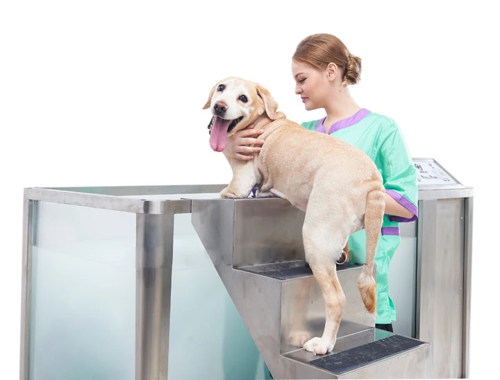 Pet Bathing Grooming Bathtub Dog Washing Station Household Pet Hospital