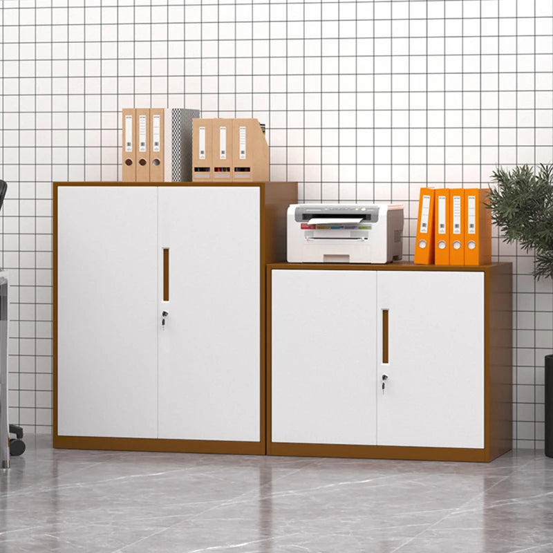 Locker Office Filing Cabinet Living Room Garage Metal Kitchen Modern Cabinet Medicine Storage Archivador Bureau Meuble Furniture