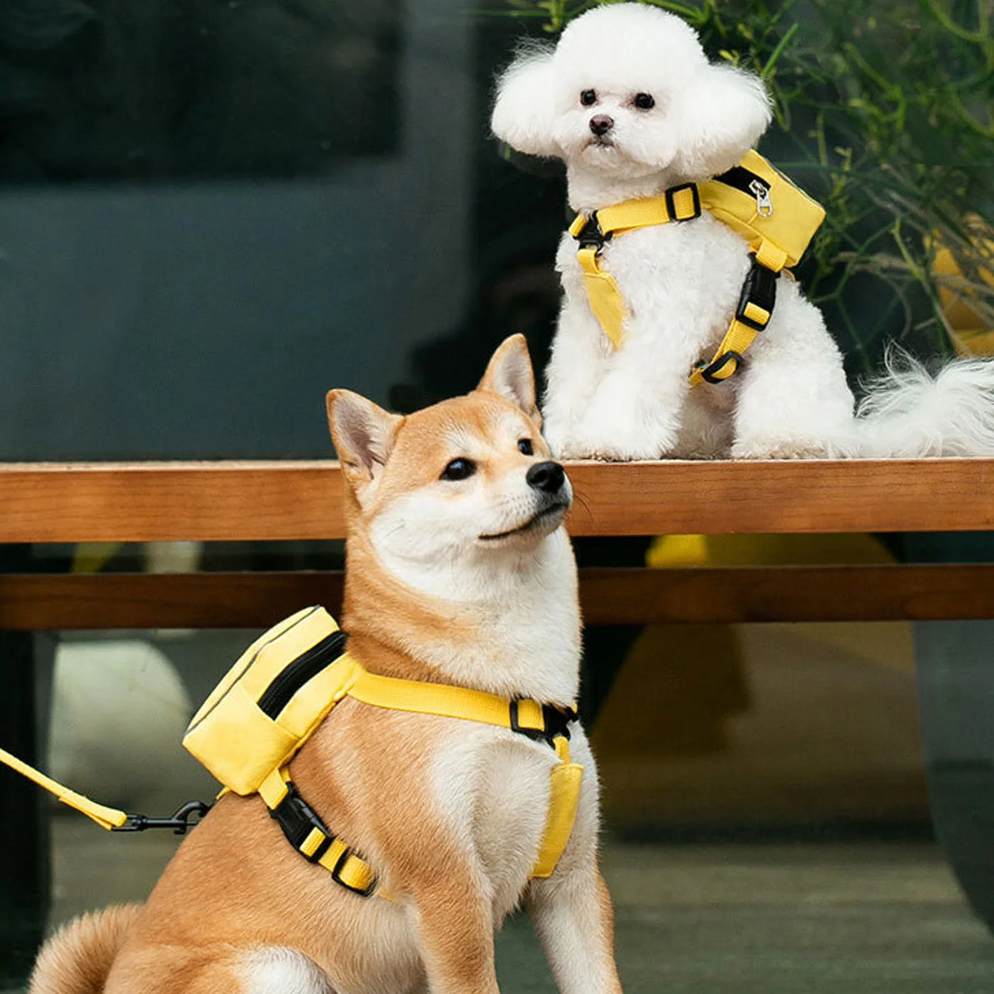 Adjustable Pet Outdoor Backpack Saddle Bag Snack Storage Bag Luxury Dog Backpack Harness Carrier For Hiking Training Walking