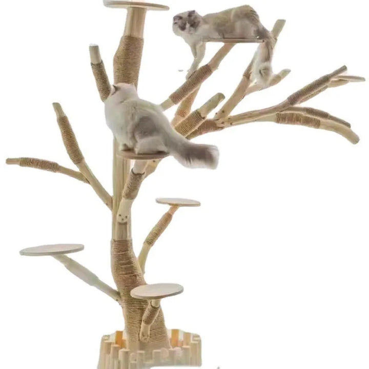 Individual Tree Cat Climbing Frame Creative Environmental Cat Climbing Frame Pet Indoor Habitat Tower Scrapers for Cats