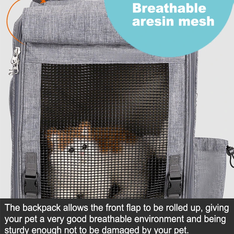 Winhyepet Cat Carriers Backpack Breathable Mesh Portable Pet Shoulder Bag For Small Dogs Cats Packaging Carrying Luxury Design