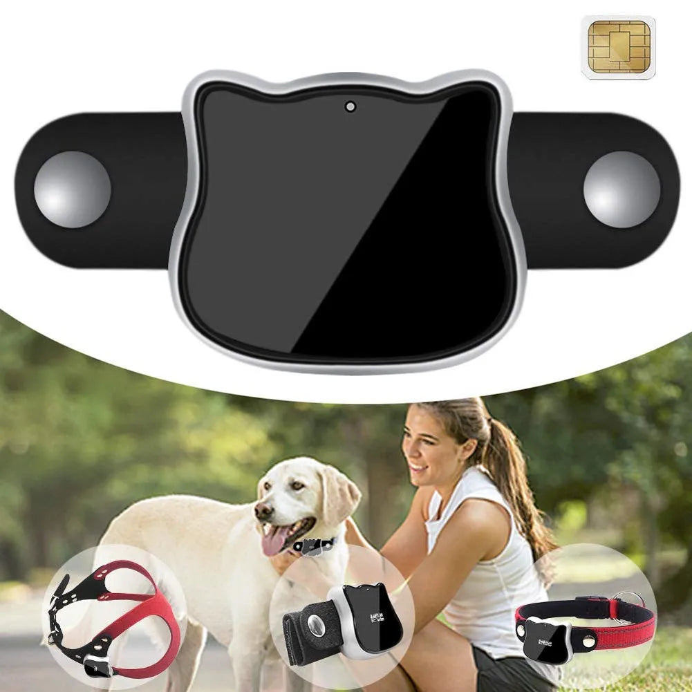 Factory Oem Waterproof Pet Gps Tracker G12p With Free Leather Collar Support App+web+sms Tracking System For Dog/cat