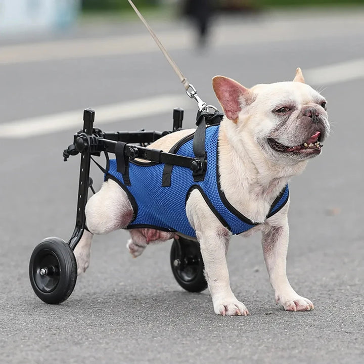 Disability Dog Wheelchair for Hind Legs Support | Adjustable Pet Walk Booster