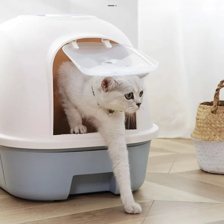 Products Training Kit Cat Litter Box Enclosed Large Bed Toy Cleaner Toilet Bathroom Sand Shovel Kedi Tuvaleti Pet Furniture