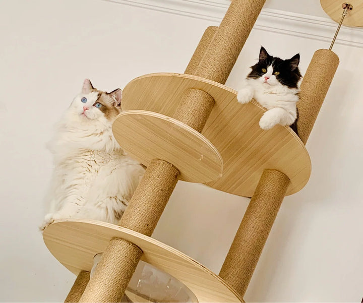 Floor to Ceiling Cat Tree House Multi-layer Cat Tower Condo With Cat Scratching Posts Adjustable Height Pet Cat Activity Center