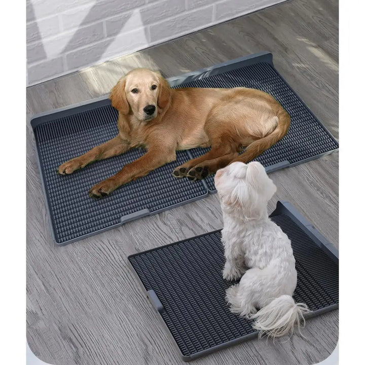 Pet Dog Toilet Reusable Tear-proof Keep Paws  Training Pad Pet Supplies For Small Medium Large Dogs