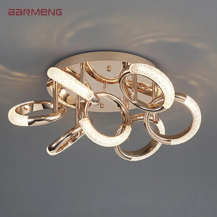 Nordic LED pendant lights modern alloy Acrylic Ceiling light chandeliers lamp indoor lighting home decor bedroom living room