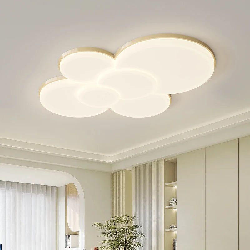 Modern Led Ceiling Lights Acrylic Lampshade Chandeliers  For Living Room Dining Room Bedroom Kitchen Ceiling Lamp Indoor Lights