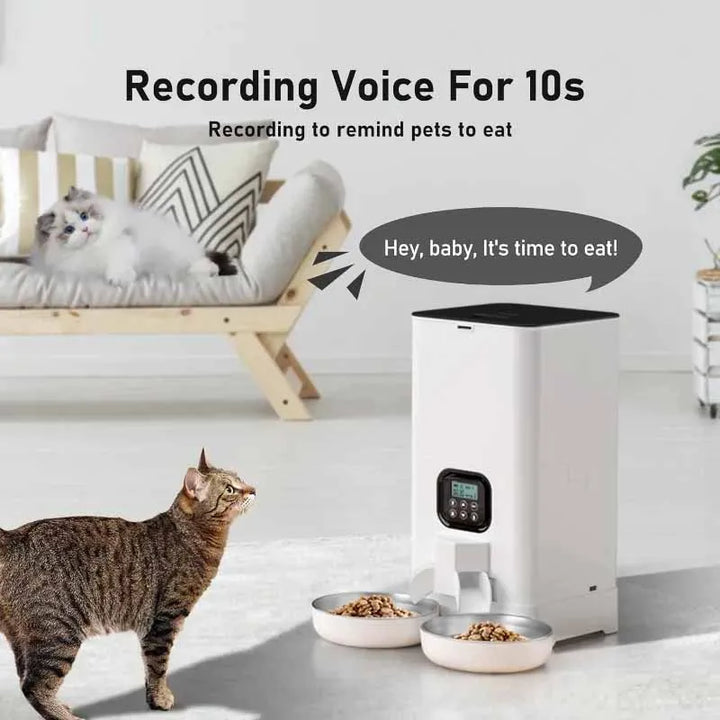 Pet Cat Feeders Large Capacity Automatic Feeder 6L Double Auto Cat Food Dispenser Smart Timed Cat Feeder for Cats Dog Dry Food