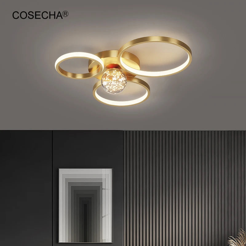 Led Black Ring Ceiling Light Modern Gold Ceiling Lamp In Bedroom Foyer Decorative Contemporary Remote Control Dimmable Lamp