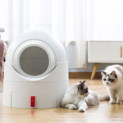 Sifter Cat Litter Box Home Drawer Large Tall Automatic Cat Litter Box Outdoor Double Layer Fully Enclosed Kuweta Cats Products