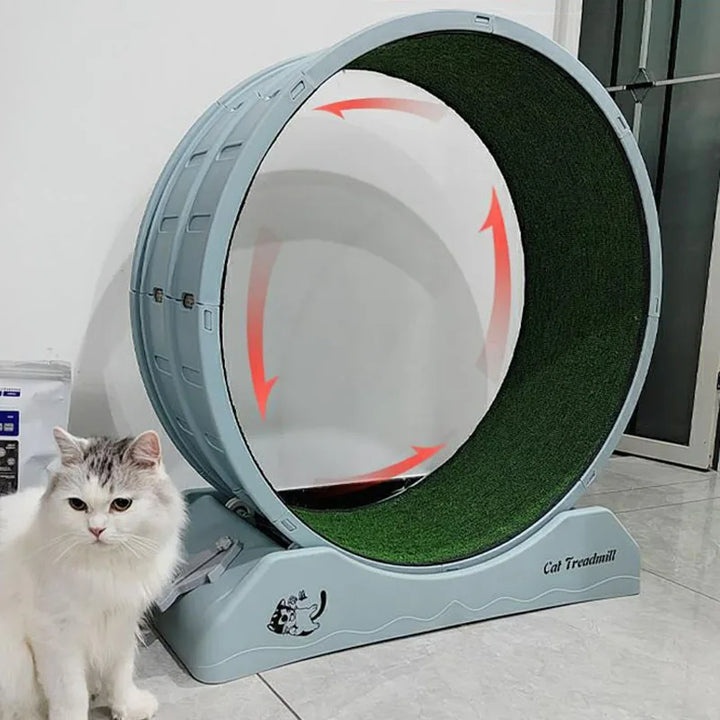 Treadmill Exercise Cat Toys, Interactive Training Wheel, Claw Sharpener, Tunnel Scraper, Tracks Game, Park Cats, Pet Items