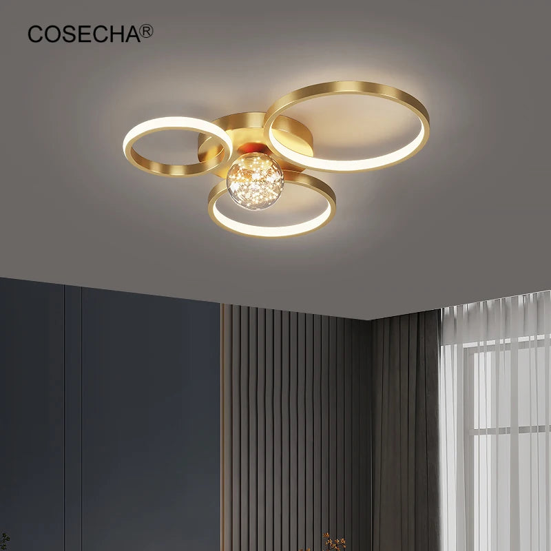 Led Black Ring Ceiling Light Modern Gold Ceiling Lamp In Bedroom Foyer Decorative Contemporary Remote Control Dimmable Lamp