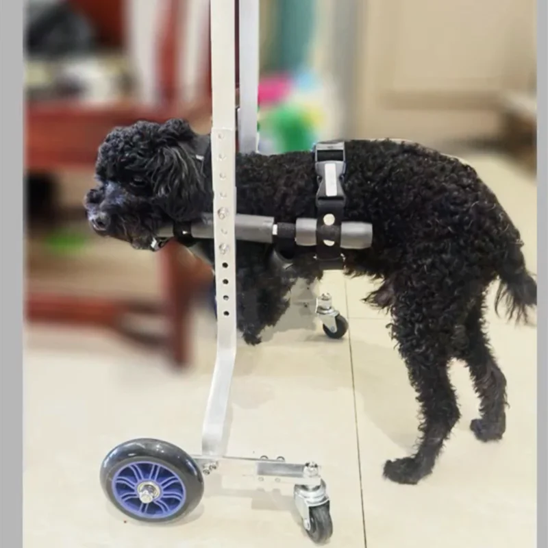 Pet Wheelchair Tailored-Small Foreleg Wheelchair Front Leg  Auxiliary Bracket Disabled Injury Incapacitated Teddy Bomei Schnauze