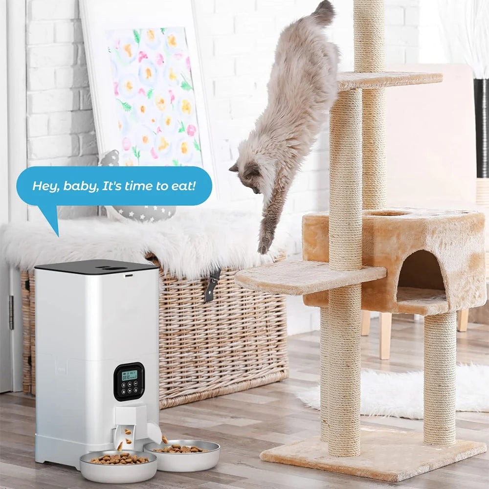 6L WiFi APP Control Automatic Cat Feeder Pet Kibble Dispenser For Dogs Double Meal Stainless Steel Bowl Smart Pet Food Bowl