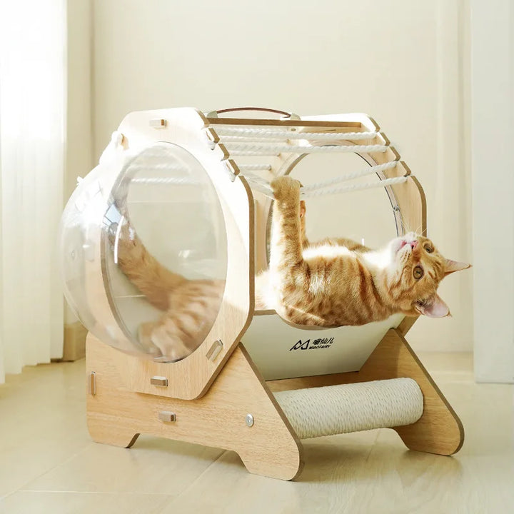 Space Capsule Cat Bed Transparent Cat Nest Pet Cat House Capsule Space 360° No Dead Angle Portable Scratch Board for Cats