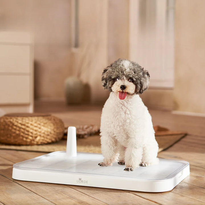 Shower Cleaning Dog Toilet Pee Tray Basin Poop Scooper Training Dog Toilet Accessories Collector Mascotas Pet Products MR50GC