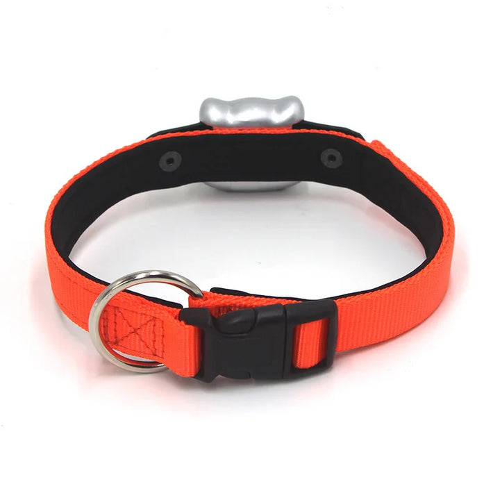 Factory Oem Waterproof Pet Gps Tracker G12p With Free Leather Collar Support App+web+sms Tracking System For Dog/cat