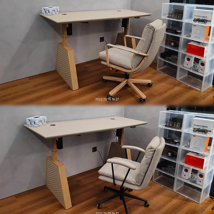 Electric Standing Desk Height Adjustable Modern Ergonomic Stand up Desk Sit Stand Home Office Computer Desk Table