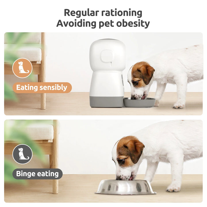 3.5L Pet Automatic Feeder For Cats Dogs Smart Food Dispenser Steel Bowl Auto Timer Dog Cat Pet Feeding Pet Supplies