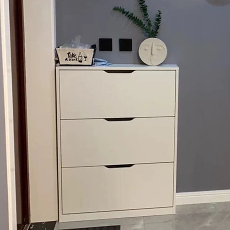 Narrow Shoe Rack Cabinet Storage Side Shoe Rack Modern Simplicity Brief Nordic Style Muebles Para El Hogar Maderaa Furniture