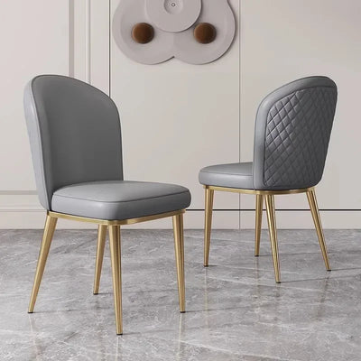 Orange Salon Dining Chairs Room Funky Adults Luxury Dining Chairs Luxury Mobile High Sillas Para Sala De Estar Furnitures Sets