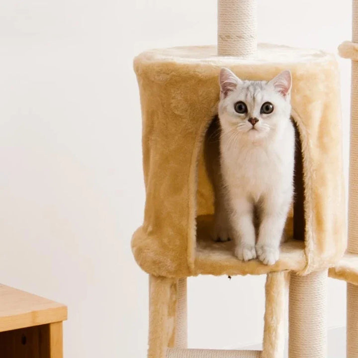 Cat Climbing Frame Integrated Nest Tree Tower Shelf Large Sisal Toy Jumping Platform Scrapers Cats Toys for Pets Wall Wood Pet